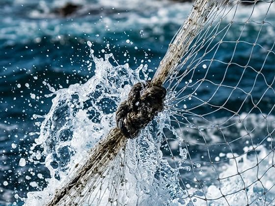 Net Cage Protection Netting