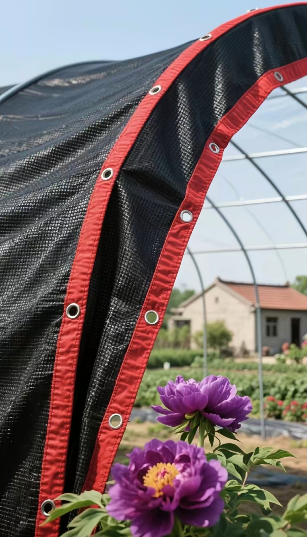 PE Shade Net for Durable Outdoor Protection